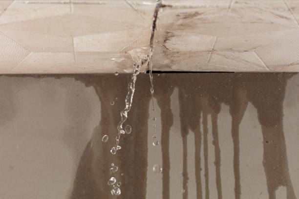 Professional Flood Damage Cleanup technician working in Madisonville, TX